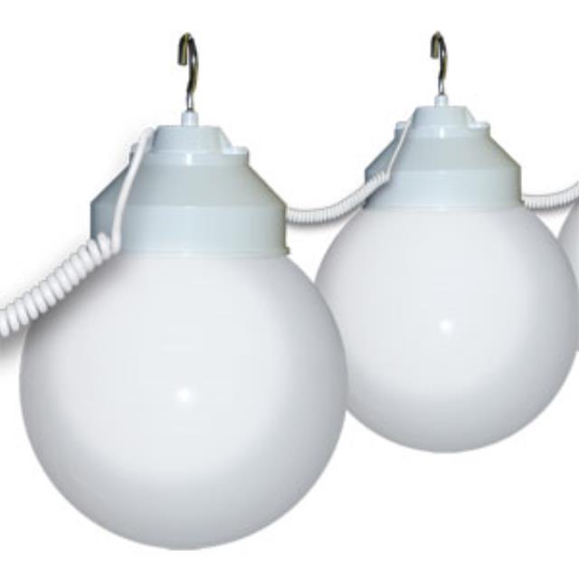 Rental store for LIGHT - GLOBE LIGHTS in Jacksonville FL