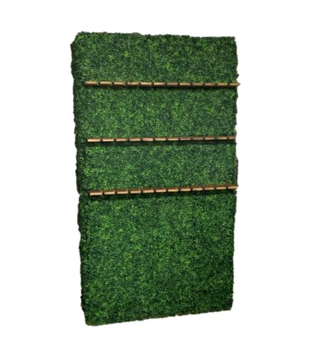 Rental store for BOXWOOD CHAMPAGNE WALL in Jacksonville FL
