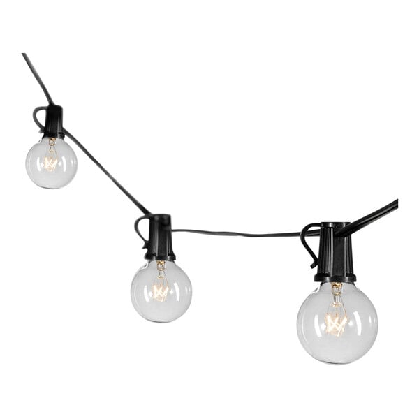 Rental store for ITALIAN STRING LIGHTS - BLACK in Jacksonville FL