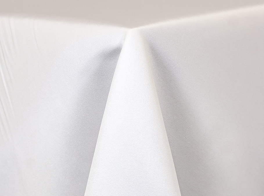 Rental store for LINEN - NAPKIN LAMOUR WHITE in Jacksonville FL