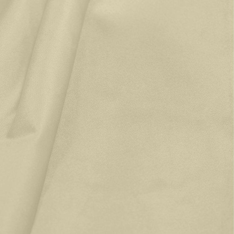 Rental store for LINEN - VELVET IVORY in Jacksonville FL