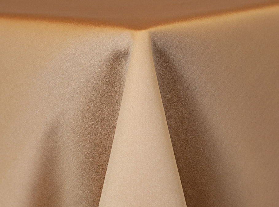 Rental store for LINEN - NAPKIN LAMOUR WHEAT in Jacksonville FL